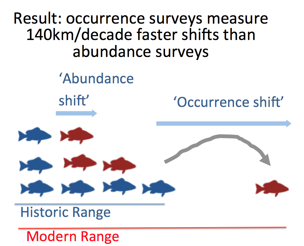 abundances