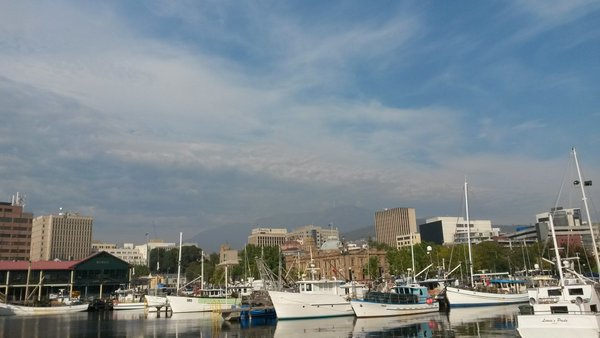 fishing boats